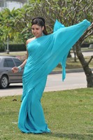 Mona Saree Photos